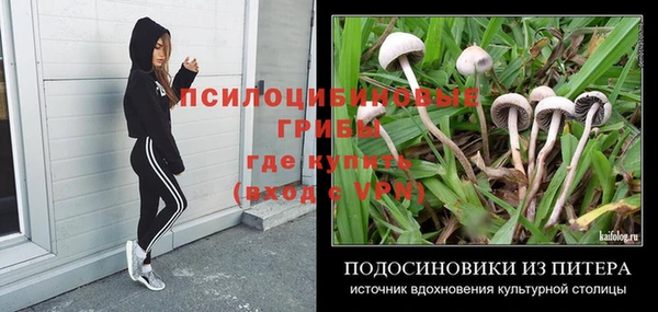 тгк Алексин
