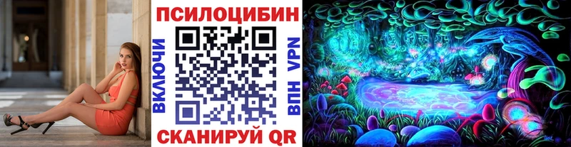 сайты даркнета телеграм  даркнет сайт  Миасс  Галлюциногенные грибы Cubensis  omg сайт 